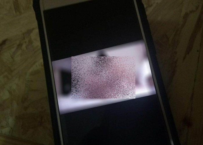 Viral Video Asusila 1vs7Kendari, Netizen Langsung Berburu