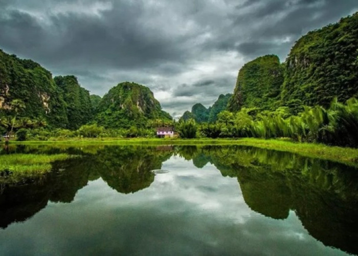 Harta Karun Alam Sultra Terungkap: 6.000 Km² Hutan dan Tiga Pegunungan Diusulkan Jadi Taman Nasional