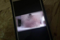 Geger! Pria Misterius Teror Warga Anduonohu Kendari: Mengintip Sambil Beraksi Tak Senonoh di Jendela