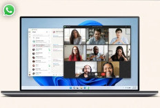 WhatsApp Web Kini Bisa Telepon dan Video Call Tanpa Aplikasi, Ini Deretan Fitur Barunya 