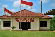 Lewat 327 Ribu Transaksi, Koperasi Merah Putih di Sulawesi Tenggara Gerakkan Ekonomi Desa