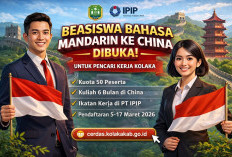 Program Beasiswa Mandarin Kolaka 2026: Kuliah 6 Bulan di China dan Langsung Kerja