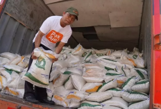 Bulog Salurkan 298,5 Ton Bantuan Pangan di Baubau, 14.936 Warga Terima Beras dan Minyak