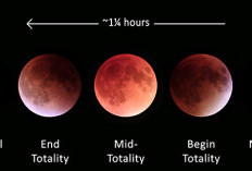 Fenomena Langka 3 Maret 2026: Gerhana Bulan 'Blood Moon' Ramadan Sapa Indonesia, Simak Jadwal Lengkapnya!