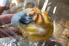 Snack MBG di Konawe Disorot: Kue Sus Berjamur Picu Kekhawatiran Orang Tua