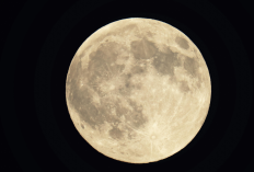 Langit Berpesta! Terakhir 2025 Supermoon Cold Moon Siap Terangi Malam Ini