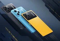 Mau Mabar Lancar? Cek Daftar HP Gaming 3 Jutaan Ini Dulu