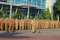 PPPK Terancam PHK? Ini Strategi Mendagri Agar Pemda Selamatkan Tenaga Honorer