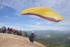 Mengintip Keindahan Puncak Indah Kapuh Tiga, Spot Paralayang Berbasis Wisata 'Trimatra' di Kolaka