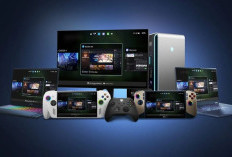 Xbox Mode di Windows 11, Pengalaman Main Game PC Kini Serasa Konsol!