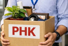 Lindungi Hak Pekerja! Disnakertrans Kendari Siapkan Mediator Gratis untuk Korban PHK