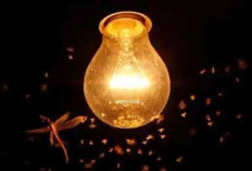 Kementerian ESDM Survei 3 Desa di Muna untuk Proyek Listrik Tenaga Surya