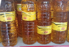 Bulog Baubau Gelontorkan 8.900 Liter Minyakita, Harga Minyak Goreng Ditargetkan Kembali Normal