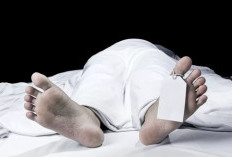 Dua Hari Tak Bisa Dihubungi, Pria Ditemukan Meninggal di Kamar Indekos Kolaka