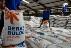 Warga Tak Perlu Panic Buying, Cadangan Beras Bulog Dipastikan Aman
