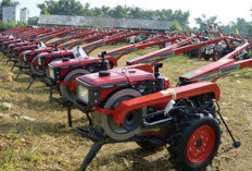 Pemprov Sultra Percepat Modernisasi Pertanian, Ratusan Alsintan Disalurkan untuk Dongkrak Produksi Petani