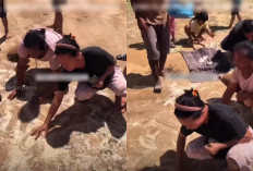 Viral! Video Miris Korban Bencana Punguti Beras Bercampur Tanah di Tapanuli Utara