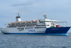 Pelabuhan Kendari Siagakan 24 Kapal Hadapi Libur Natal 2025 dan Tahun Baru 2026