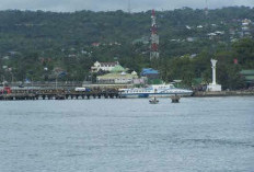 Sejarah Baru Ekspor Sultra: Pelabuhan Baubau Resmi Layani Pengiriman Langsung ke Pasar Global