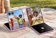 Samsung Galaxy Z Flip 8: HP Lipat Paling Tipis dengan Kamera 50MP dan Gemini AI!