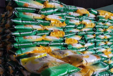 Berbagi di HUT RI ke-81: Pemkab Wakatobi Salurkan 200 Paket Sembako untuk Veteran