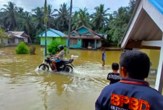 Banjir Rendam 188 Rumah di Kolaka, Sungai Konaweha Meluap akibat Hujan Deras