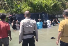 Viral Mobil Rombongan Ketua Pengadilan Agama Bombana Terjun ke Jurang di Muna, Begini Kondisi Penumpangnya