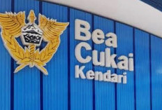 Ekspor Nontambang Sultra Melejit, Bea Cukai Kendari Lampaui Target Penerimaan Negara
