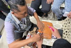 Jelang Tahun Baru 2026, Polisi dan Bea Cukai Kendari Gagalkan Peredaran 1,1 Kg Ganja