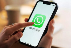 Bebas Ribet! WhatsApp Bakal Hadirkan Tab Khusus Kontak dan Indikator Online