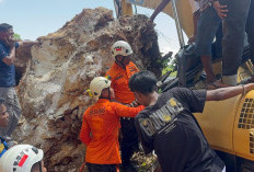 Sopir Ekskavator Tewas Terjepit Batu Longsor di Baubau, Basarnas Lakukan Evakuasi