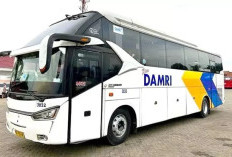 DAMRI Sultra Siapkan 25 Bus untuk Mudik Lebaran 2026, Rute Favorit Kendari–Baubau Jadi Prioritas