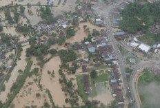 Banjir Sulawesi Tenggara: 8.616 Warga Terdampak, Ribuan Rumah Terendam di 8 Daerah