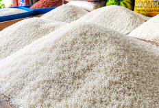 Pemkot Kendari Siapkan 2 Ton Beras SPHP, Harga Lebih Murah dari HET