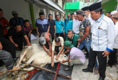 Panduan Lengkap Tata Cara Menyembelih Hewan Kurban: Rukun, Syarat, dan Doanya Sesuai Sunnah