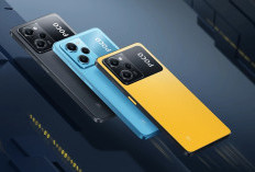 6 Rekomendasi HP Xiaomi RAM 8GB Terbaik 2026, Kencang Tanpa Bikin Kantong Jebol