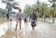 Cegah Banjir Berulang, Pemkot Baubau Percepat Normalisasi Saluran Irigasi