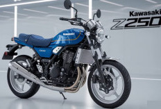 Guncang Kelas 250cc! Kawasaki Z250FX 2026 Meluncur: Lebih Buas, Lebih Pintar, dan Bertabur Fitur Moge