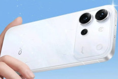 Vivo S70 Dirumorkan Rilis November 2026, Usung Sensor Sony LYT610 dan Lensa Teleconverter