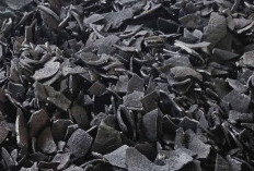 Sultra Ekspor Perdana 50 Ton Arang Tempurung Kelapa ke China