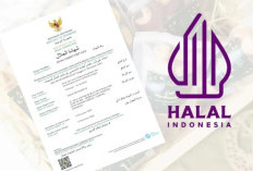 Kesempatan Emas UMKM! BPJPH Sediakan 1 Juta Kuota Sertifikasi Halal Gratis, Cek Cara Daftarnya di Sini