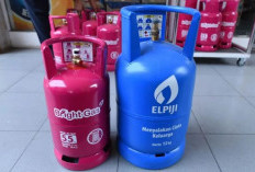 Dapur Makin Membara! Harga LPG Nonsubsidi Melonjak Tajam per 18 April 2026