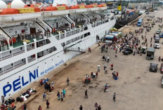 Kasus Pungli Program Mudik Gratis Kapal Laut di Kendari, Wamenhub: Kita akan Telusuri