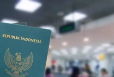 Genjot Transformasi Digital, Imigrasi Kendari Pantau Aktivitas WNA Lewat APOA secara Real Time