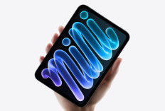 Ini Spesifikasi dan Harga iPad Mini: Lebih Tipis dan Layar OLED Super Jernih!