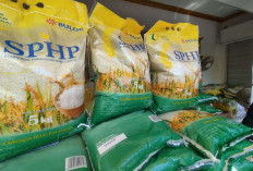 Breaking News! Pemerintah Batasi Pembelian Beras SPHP Maksimal 25 Kg 