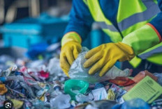 Siapkan Bank Sampah, Pemkot Kendari Wajibkan ASN Setor 2 Kg Sampah Plastik per Bulan