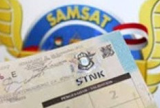 Kabar Gembira! Mulai Berlaku 17 Agustus, Pemprov Sultra Pangkas Tarif PKB Kendaraan 