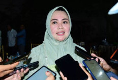 ASN Kendari Dilarang Mudik Pakai Mobil Dinas! Wali Kota Siska: Nekat Melanggar, Sanksi Menanti