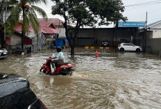 Banjir Kali Wanggu Rendam Kendari, 317 Warga Mengungsi dan Ratusan Rumah Terdampak